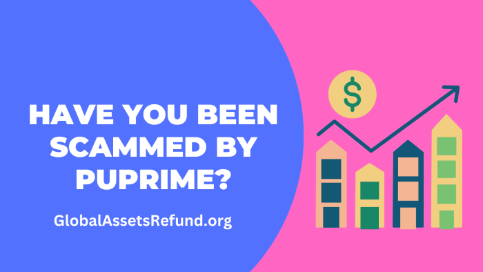 Have You Been Scammed By Puprime? We Can Get Your Money Back